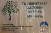 banner przy szkółce