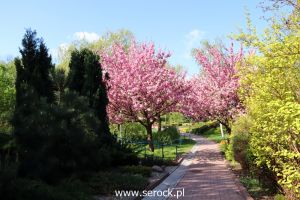 IMG_0095.JPG