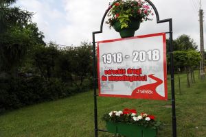 ukwiecenie miasta