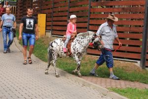 To Barbarki robota