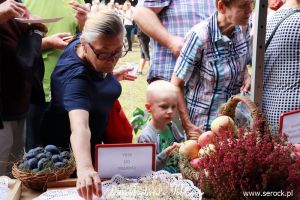 Festiwal sołectw w Jabłonnie