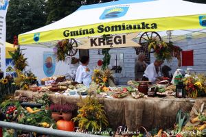 Festiwal sołectw w Jabłonnie