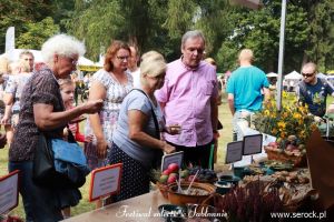 Festiwal sołectw w Jabłonnie