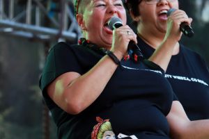Festiwal sołectw w Jabłonnie