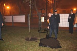 IMG_7557.JPG