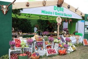 Festiwal Sołectw Dębe
