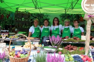 Festiwal Sołectw Dębe