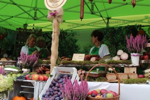 Festiwal Sołectw Dębe