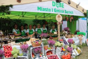 Festiwal Sołectw Dębe