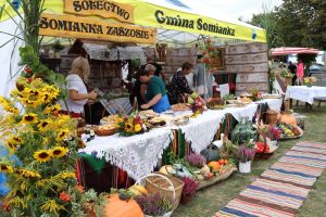 Festiwal Sołectw Dębe