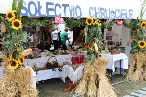 Festiwal Sołectw Dębe