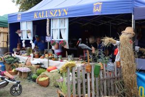 Festiwal Sołectw Dębe