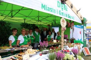 Festiwal Sołectw Dębe
