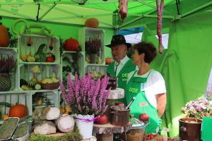 Festiwal Sołectw Dębe