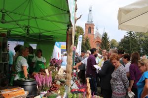Festiwal Sołectw Dębe