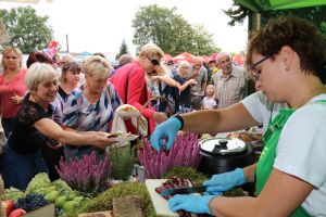 Festiwal Sołectw Dębe