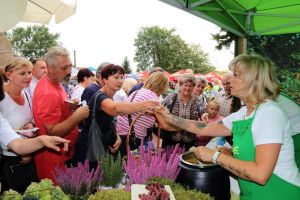 Festiwal Sołectw Dębe