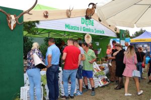 Festiwal Sołectw Dębe