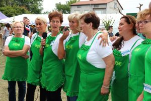 Festiwal Sołectw Dębe