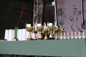Festiwal Sołectw Dębe