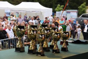 Festiwal Sołectw Dębe