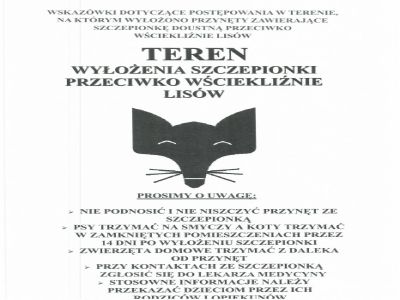 Szczepienie lisów