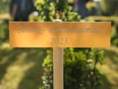 Goście zagraniczni