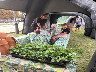 Ekologiczny piknik rodzinny
