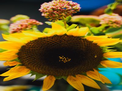 fotograficzna relacja Izbica