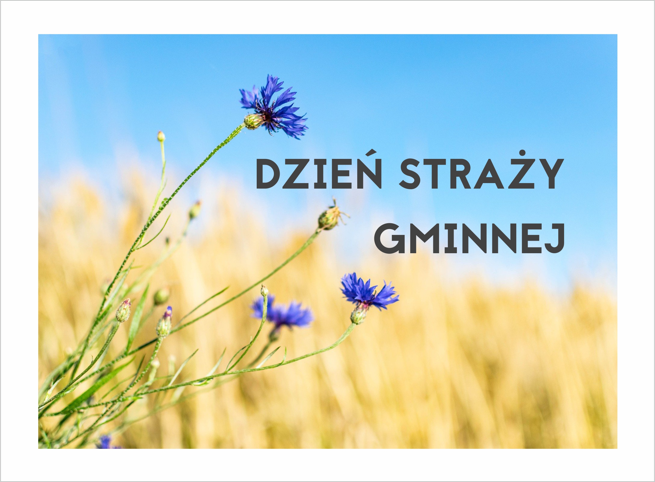 Dzień Starży Gminnej