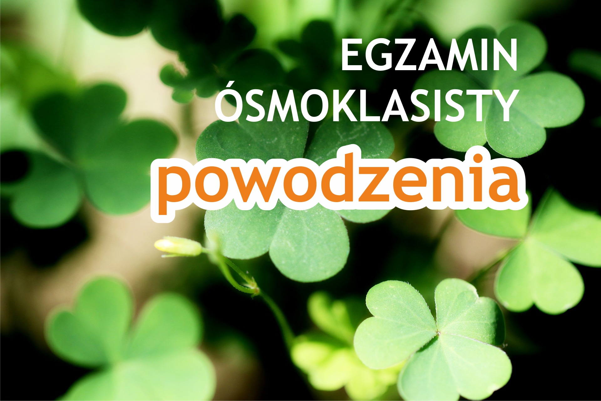 Egzamin ósmoklasisty