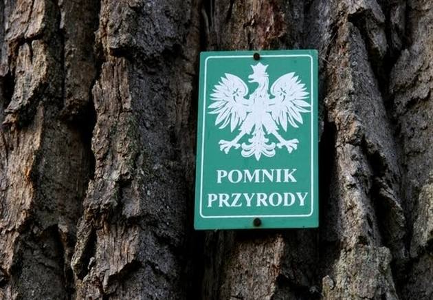 Konkurs ,,Pomnik przyrody – okazały i dostojny”