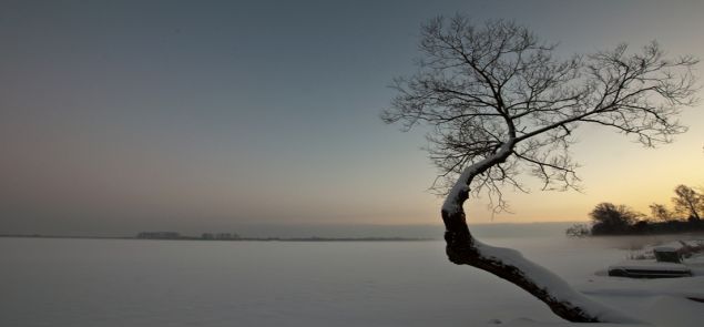 Rozstrzygnięcie konkursu fotograficznego "Jezioro Zegrzyńskie w zimowym obiektywie"