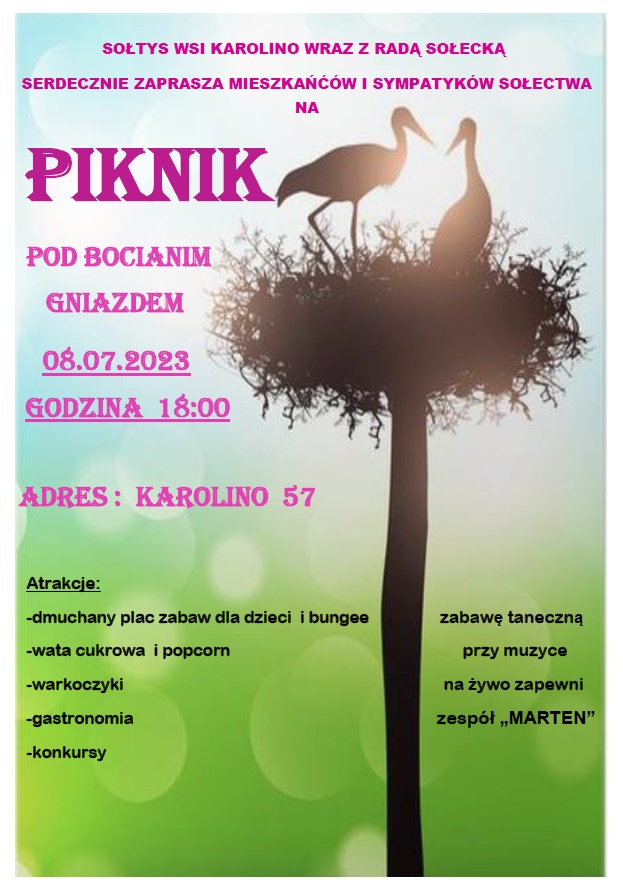 Piknik Sołecki