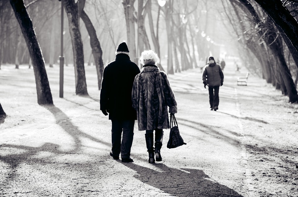 Program "Senior +"