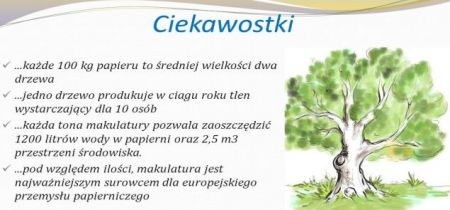 Światowy dzień drzewa