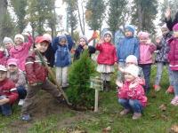Święto drzewa 2013