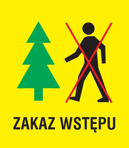 Tymczasowy zakaz wstępu do lasów