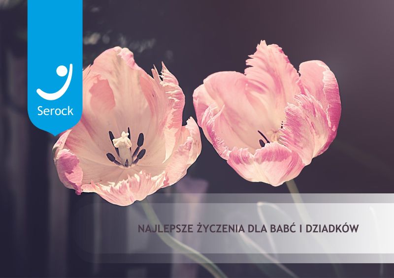 Życzenia z okazji Dnia Babci i Dnia Dziadka