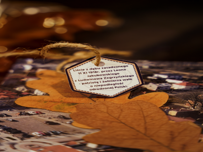 zdjęcia 11.11