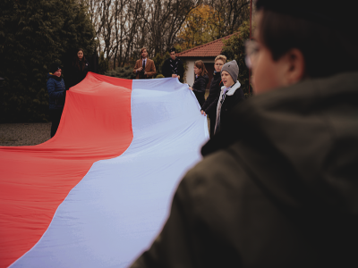 zdjęcia 11.11